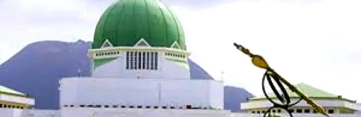 Why we can’t fix NASS’ leaking roof now — FCDA