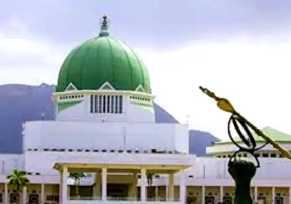 Why we can’t fix NASS’ leaking roof now — FCDA